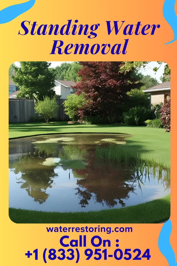 Standing Water Removal in West Point, NE